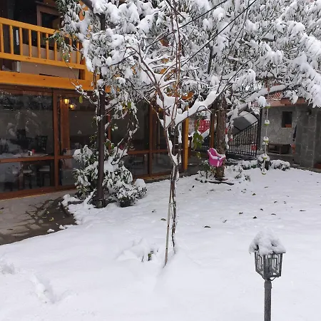 Mamin Kolio Pensión 2*