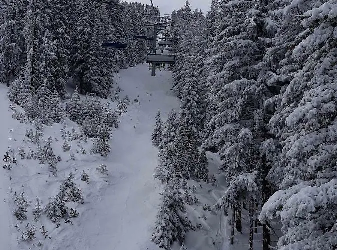 Mamin Kolio Къща за гости 2*