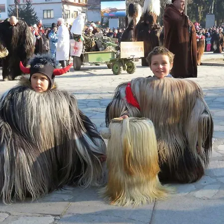 Гостевой дом Mamin Kolio 2*