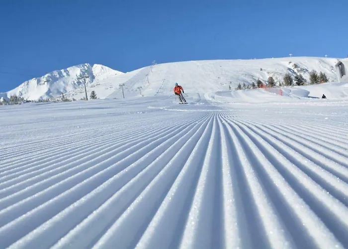 Mamin Kolio 게스트하우스 2*